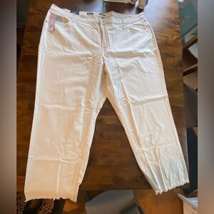 Women’s high rise curvy straight jeans